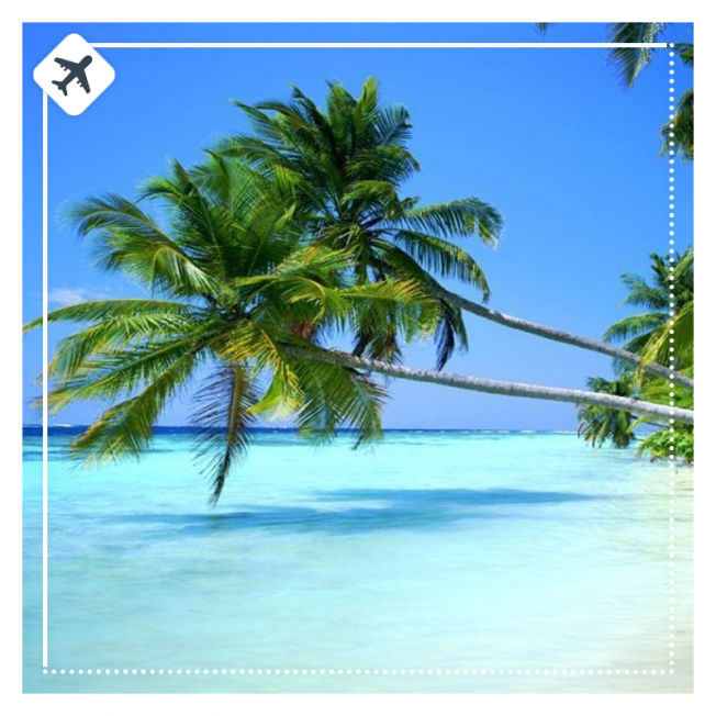 BRASIL | SALVADOR DE BAHÍA