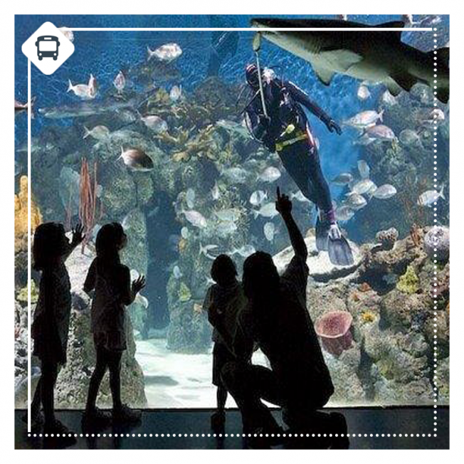 BUENOS AIRES | TEMAIKÉN