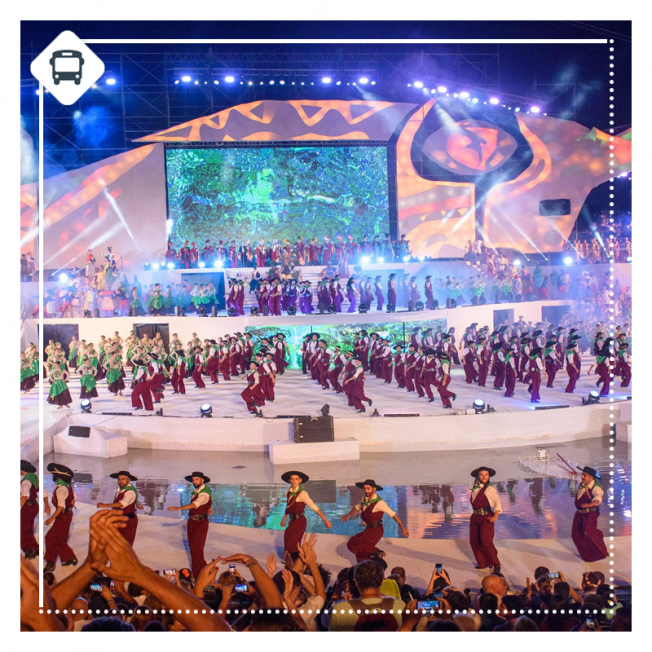 MENDOZA Y FIESTA DE LA VENDIMIA