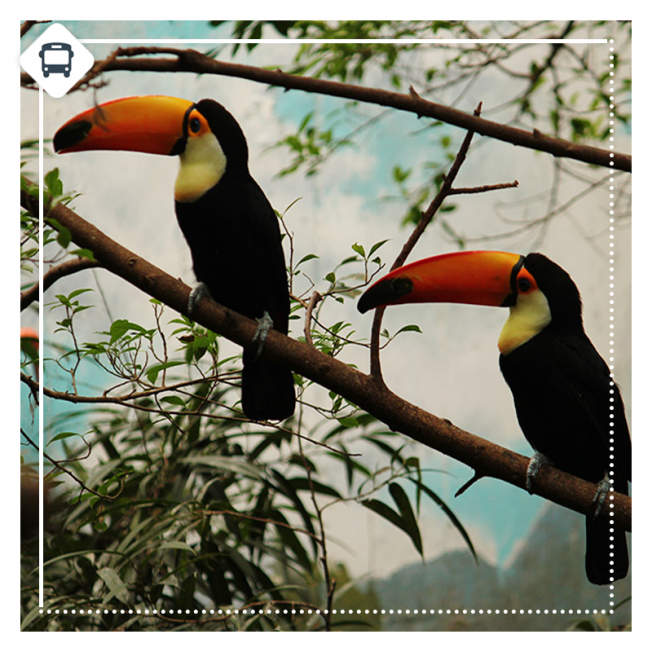 CATARATAS DEL IGUAZÚ | VACACIONES