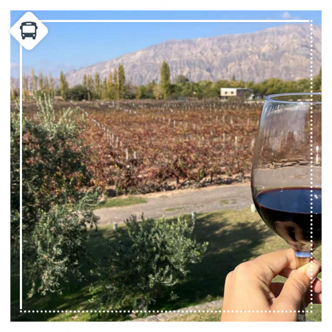 MENDOZA & SAN JUAN | VACACIONES