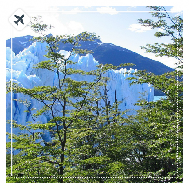 PATAGONIA  COMBINADA | BUS - JET & JET - BUS