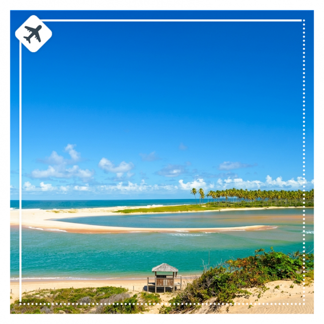 BRASIL | PRAIA DO FORTE